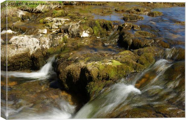 SPEEDING Canvas Print by andrew saxton