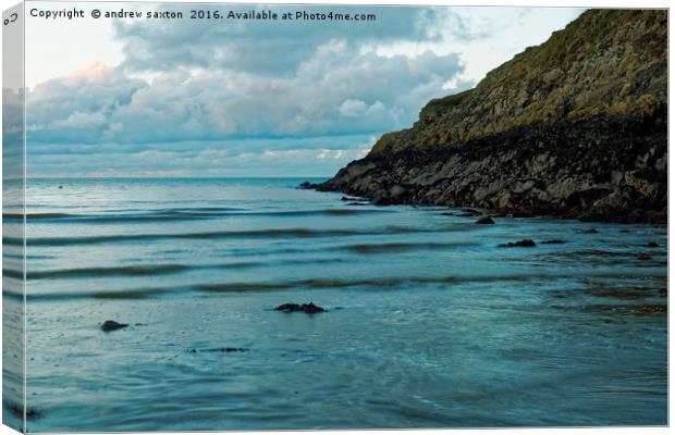SEA AND CLIFFS Canvas Print by andrew saxton