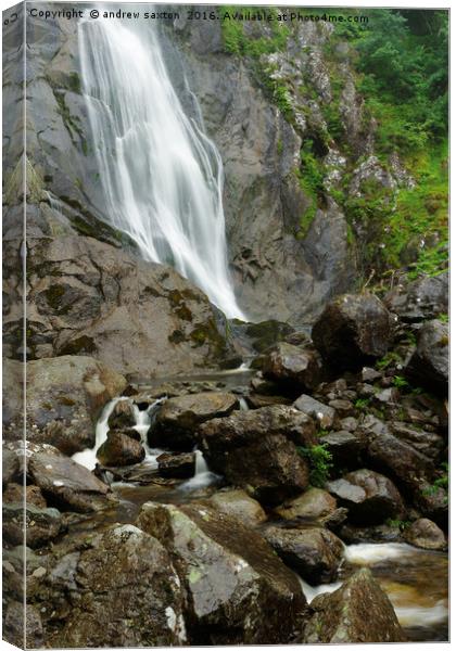 INTO STONE Canvas Print by andrew saxton