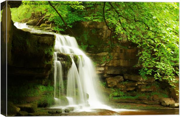 ROCK SPLITTING Canvas Print by andrew saxton