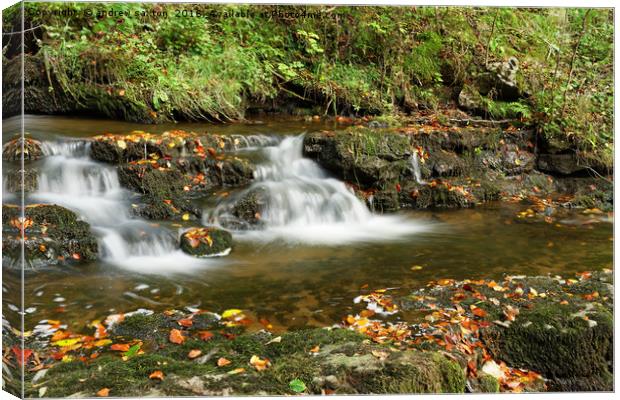 AUTUMN WATERFALL Canvas Print by andrew saxton