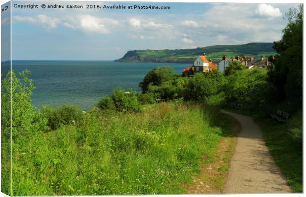 PATH TO THE SEA Canvas Print by andrew saxton