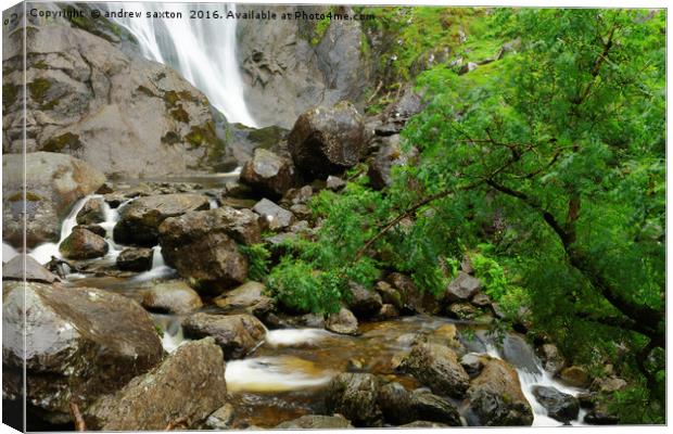 TREE AND WATER Canvas Print by andrew saxton