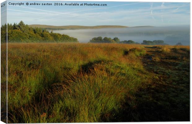 LOW MIST Canvas Print by andrew saxton