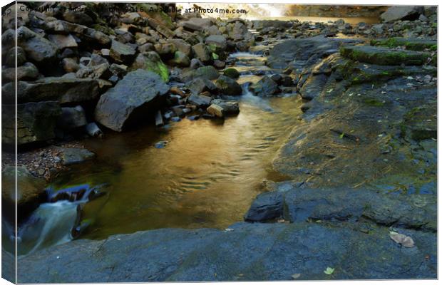 MUDDY SIDE Canvas Print by andrew saxton