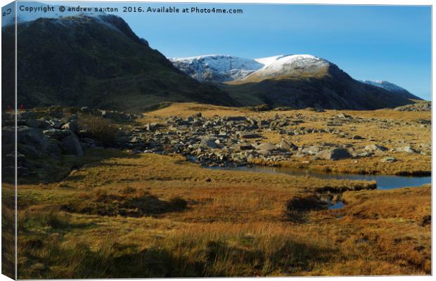 WINTER ON TOP Canvas Print by andrew saxton