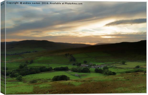 BEDDING DOWN FOR THE NIGHT Canvas Print by andrew saxton