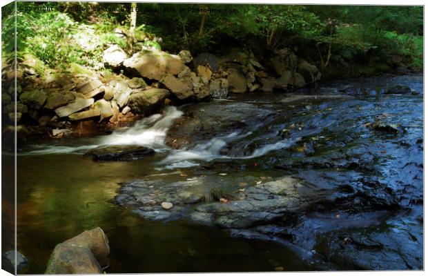 DROPPING DOWN STREAM Canvas Print by andrew saxton