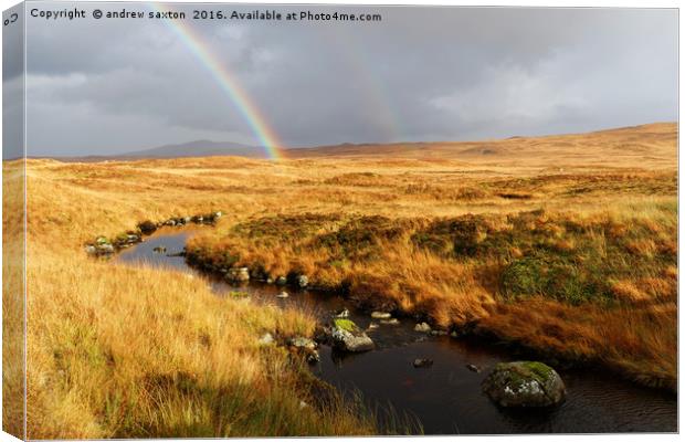 STREAM AND RAINBOW Canvas Print by andrew saxton