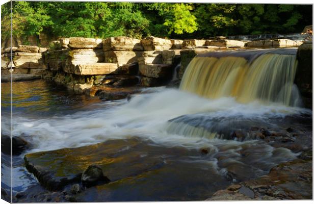 SWALES WATERFALLS Canvas Print by andrew saxton