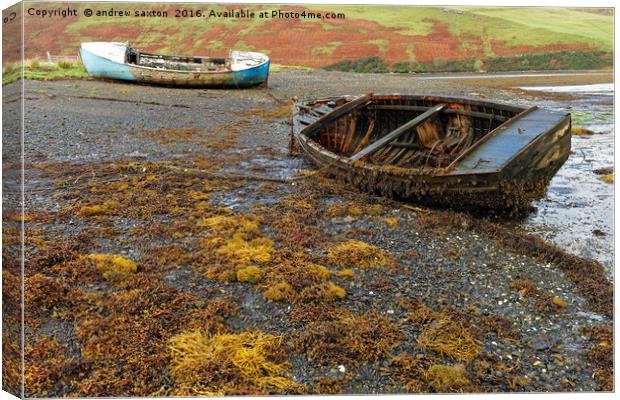 TWO OLD TO SAIL Canvas Print by andrew saxton