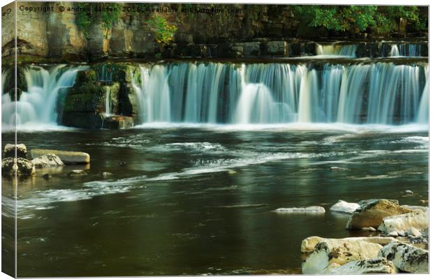 YORKSHIRE FALLS Canvas Print by andrew saxton