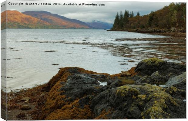 ACROSS LOCH LINNHE  Canvas Print by andrew saxton