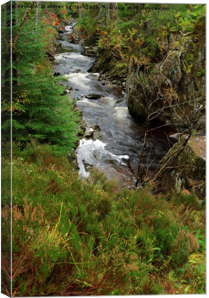 SOTTISH RIVER Canvas Print by andrew saxton