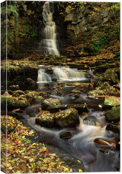 MILL FORCE Canvas Print by andrew saxton