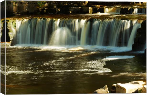 SWALES FALLS YORKSHIRE Canvas Print by andrew saxton