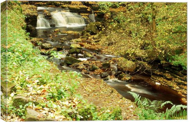 AUTUMN WATERFALLS Canvas Print by andrew saxton