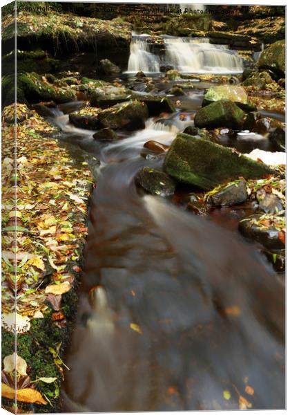 FALLS RUNNING  Canvas Print by andrew saxton
