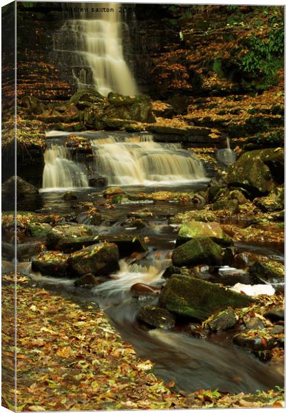 AUTUMN LEAVES WATERFALL Canvas Print by andrew saxton