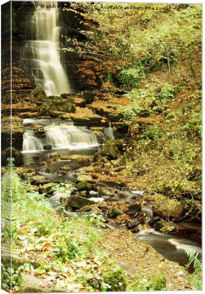 AUTUMN AT ASKRIGG  Canvas Print by andrew saxton