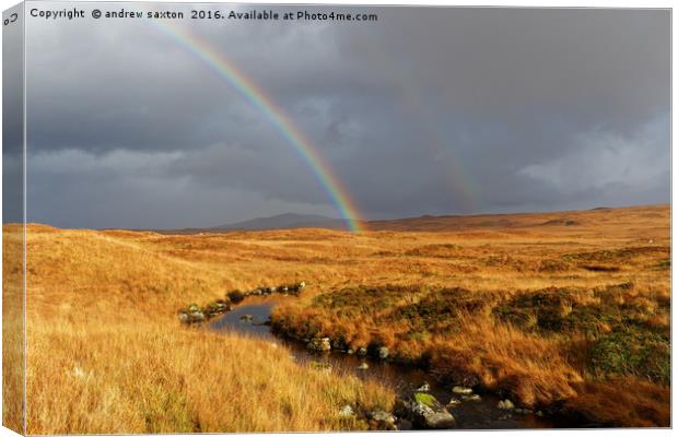 LOOK TWO RAINBOWS Canvas Print by andrew saxton