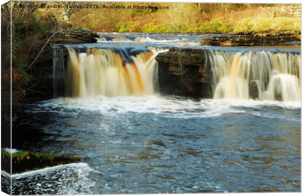 WHAT A WATERFALL. Canvas Print by andrew saxton