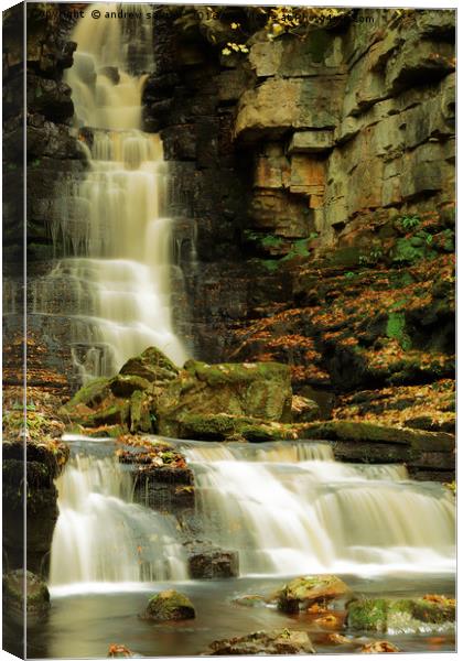 ASKRIGG AUTUMN Canvas Print by andrew saxton