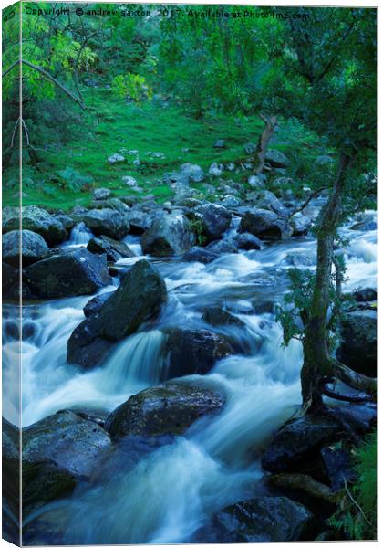 FLOWING THROUGH TREES  Canvas Print by andrew saxton