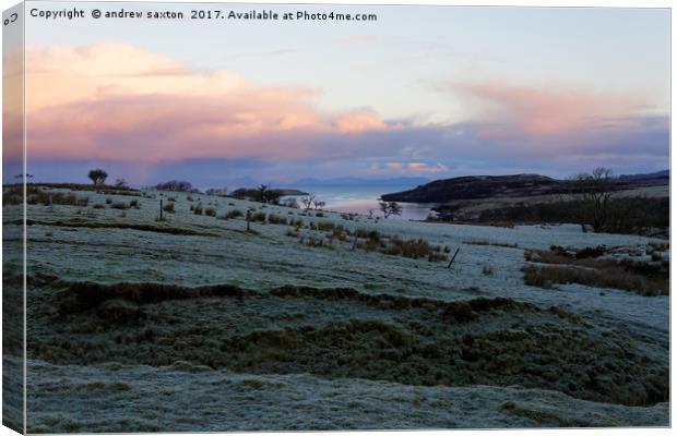 FROST ON SKYE Canvas Print by andrew saxton