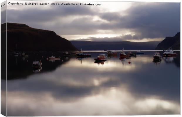 EARLY MORNING Canvas Print by andrew saxton