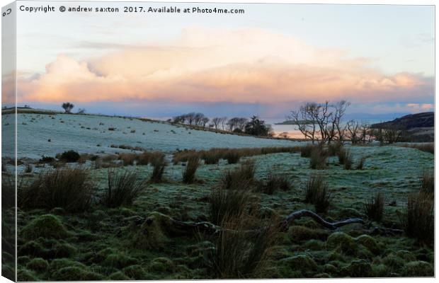 SUNSHINE FROST Canvas Print by andrew saxton