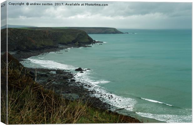 CORNISH VIEW Canvas Print by andrew saxton