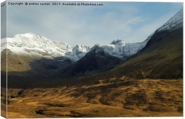 DIFFERENT SHAPES Canvas Print by andrew saxton