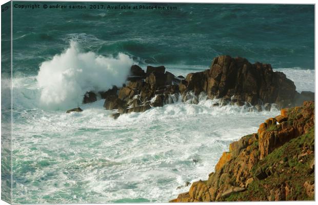SMALL WAVE Canvas Print by andrew saxton