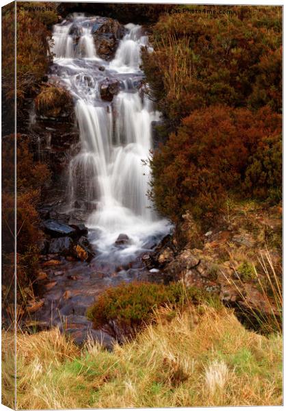 WE HAVE A WATERFALL Canvas Print by andrew saxton