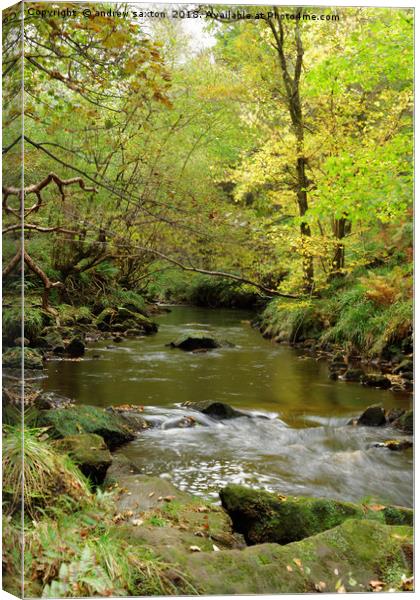 WOODLAND WATERS Canvas Print by andrew saxton