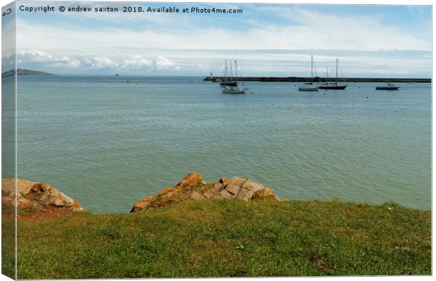 OFF THE COAST Canvas Print by andrew saxton