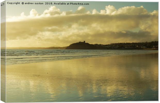 GOLDEN BEACH Canvas Print by andrew saxton