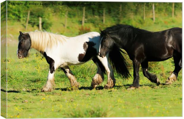 ME AND MUM Canvas Print by andrew saxton