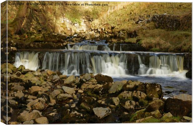 IT'S GETTING WIDER Canvas Print by andrew saxton