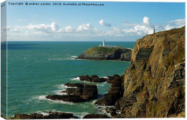 LIGHTHOUSE ROCKS Canvas Print by andrew saxton