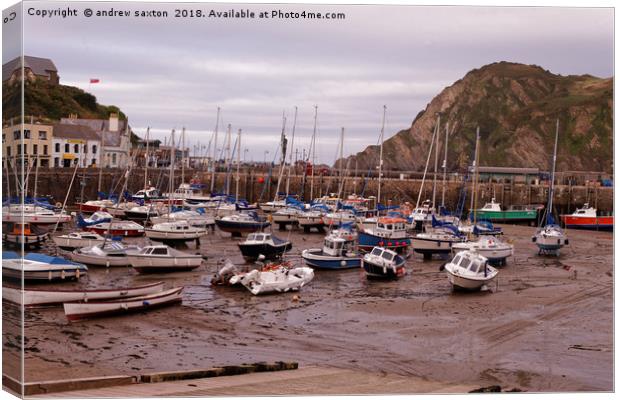 GROUNDED BOATS Canvas Print by andrew saxton