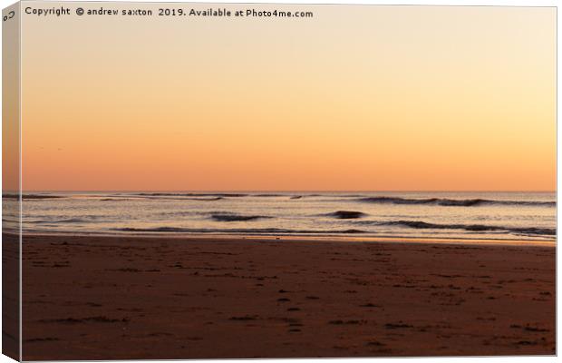 GOLDEN SKY. Canvas Print by andrew saxton