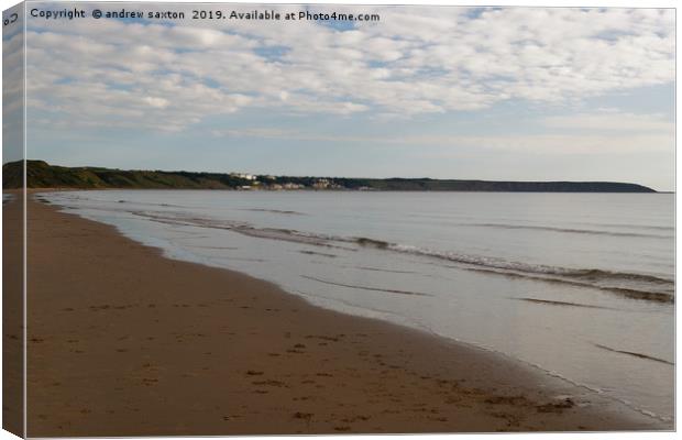 BEACH MORNING Canvas Print by andrew saxton