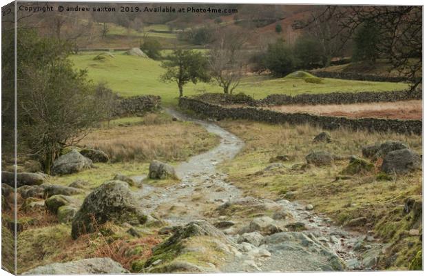 KEEP TO THE PATH Canvas Print by andrew saxton