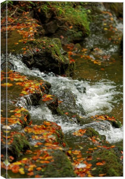 WATER IN AUTUMN Canvas Print by andrew saxton