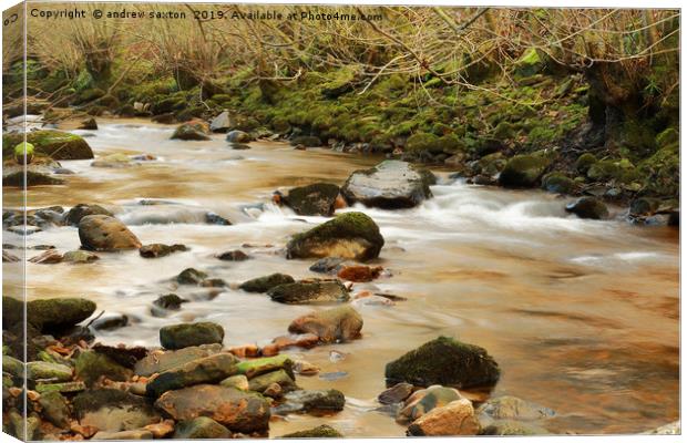 SWALE SMOOTH Canvas Print by andrew saxton