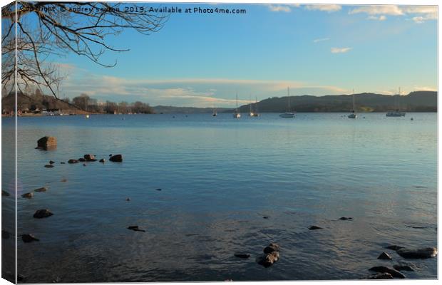 CLEAR LAKE Canvas Print by andrew saxton