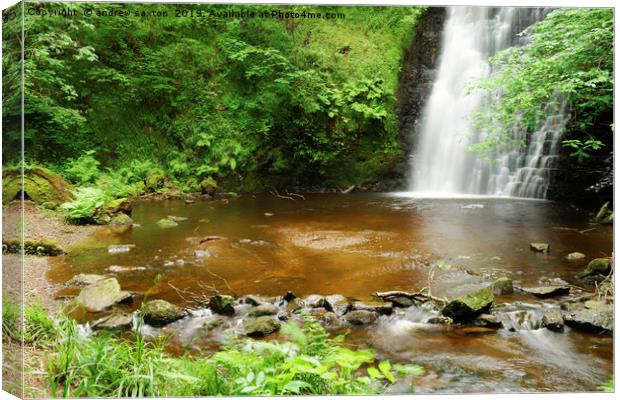 WATER LEAVES Canvas Print by andrew saxton