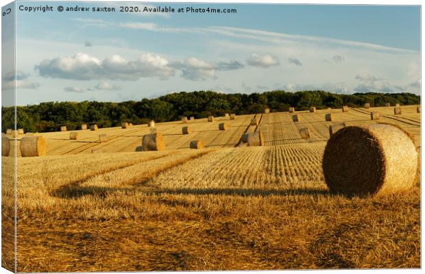 HARVEST IN Canvas Print by andrew saxton